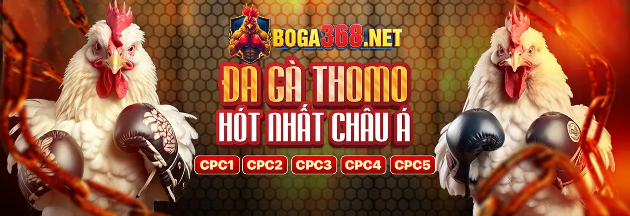 Sân chơi đá gà trực tuyến shbet1 khuyến mãi