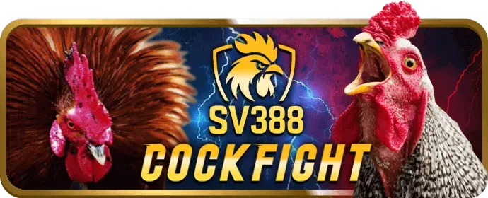 Quản lý vốn thông minh shbet1